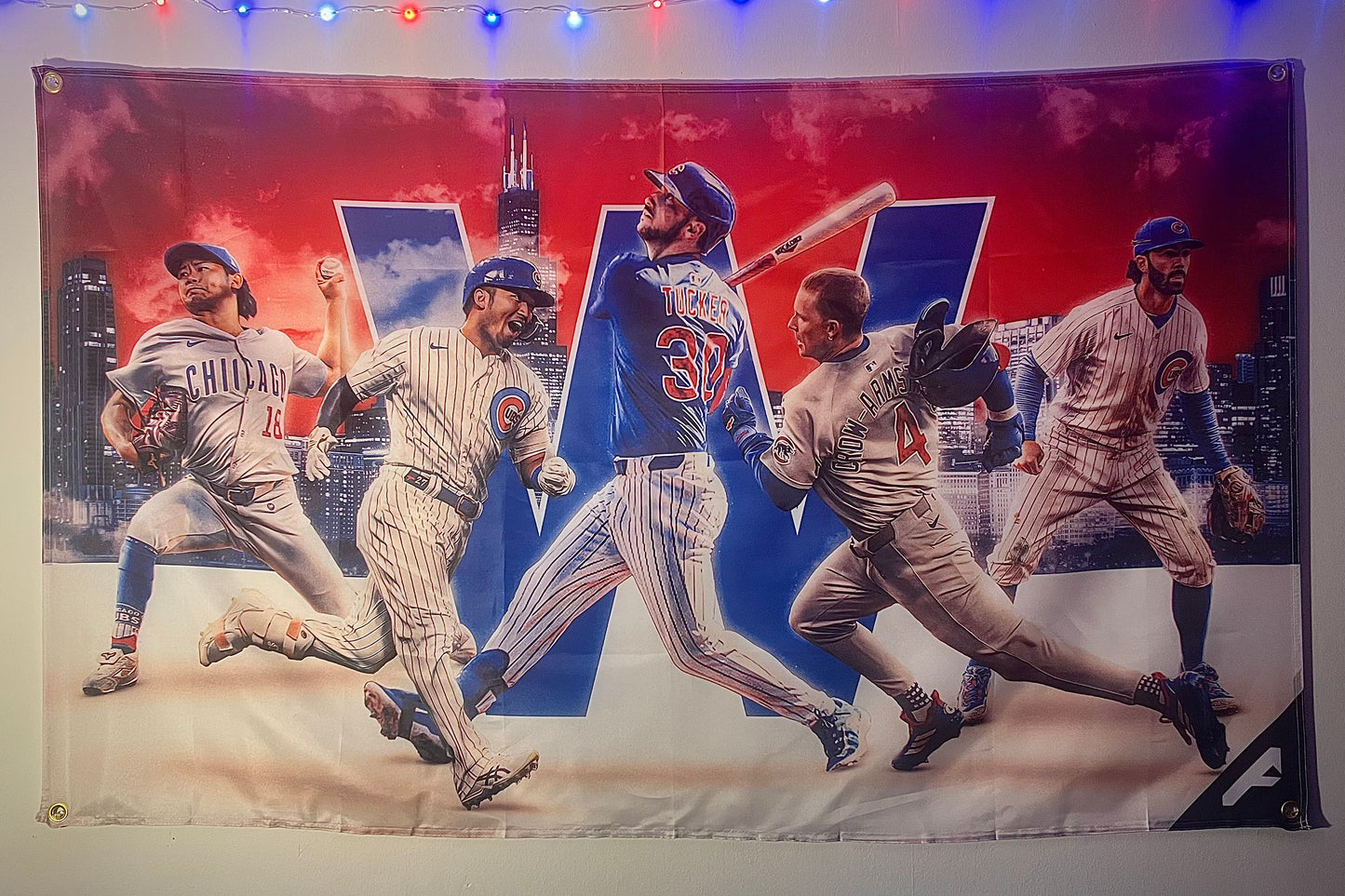 The Cub Flag